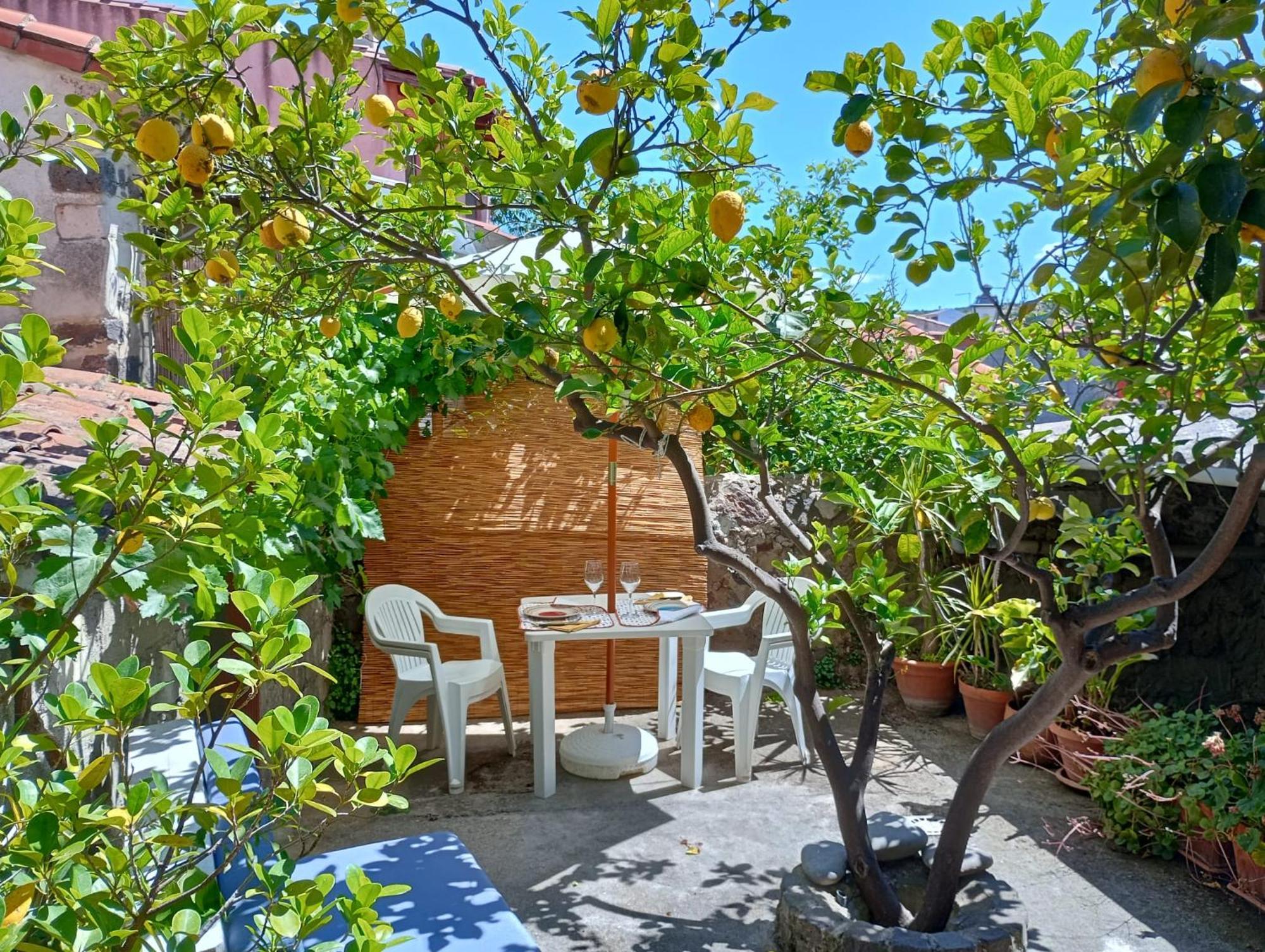 Casa Figus Via Azuni 5 Narbolia Apartman Kültér fotó
